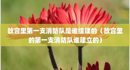 故宫里第一支消防队是谁组建的（故宫里的第一支消防队谁建立的）