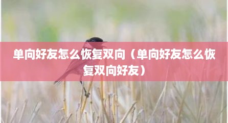 单向好友怎么恢复双向（单向好友怎么恢复双向好友）