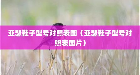 亚瑟鞋子型号对照表图（亚瑟鞋子型号对照表图片）