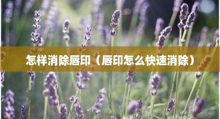 怎样消除唇印（唇印怎么快速消除）