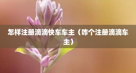 怎样注册滴滴快车车主（咋个注册滴滴车主）