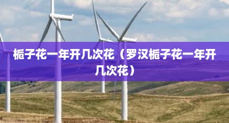 栀子花一年开几次花（罗汉栀子花一年开几次花）