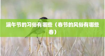 端午节的习俗有哪些（春节的风俗有哪些春）