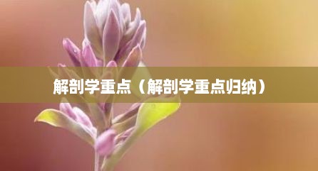 解剖学重点（解剖学重点归纳）