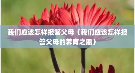 我们应该怎样报答父母（我们应该怎样报答父母的养育之恩）