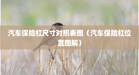 汽车保险杠尺寸对照表图（汽车保险杠位置图解）