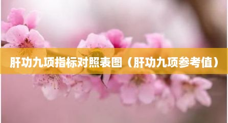 肝功九项指标对照表图（肝功九项参考值）