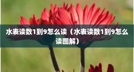 水表读数1到9怎么读（水表读数1到9怎么读图解）