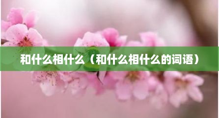 和什么相什么（和什么相什么的词语）