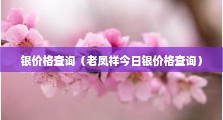 银价格查询（老凤祥今日银价格查询）