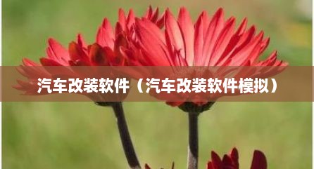 汽车改装软件（汽车改装软件模拟）
