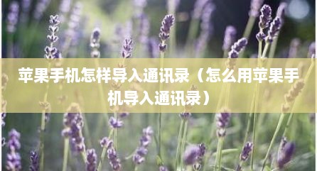 苹果手机怎样导入通讯录（怎么用苹果手机导入通讯录）