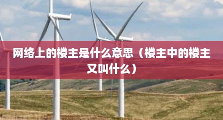 网络上的楼主是什么意思（楼主中的楼主又叫什么）