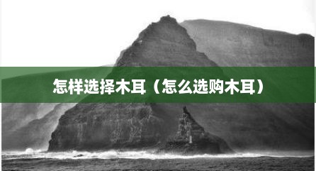 怎样选择木耳（怎么选购木耳）