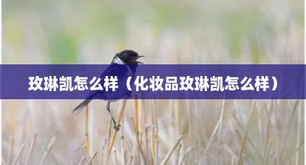玫琳凯怎么样（化妆品玫琳凯怎么样）