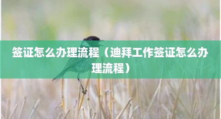 签证怎么办理流程（迪拜工作签证怎么办理流程）