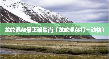 龙蛇混杂最正确生肖（龙蛇混杂打一动物）