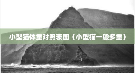 小型猫体重对照表图（小型猫一般多重）