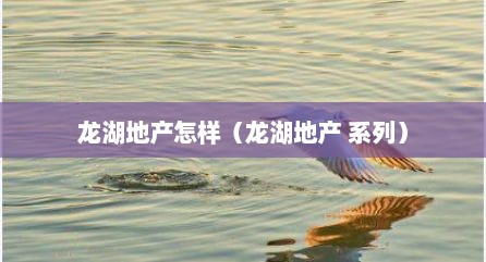 龙湖地产怎样（龙湖地产 系列）
