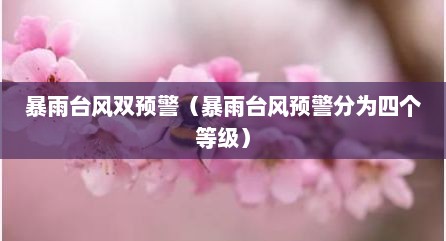 暴雨台风双预警（暴雨台风预警分为四个等级）