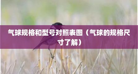 气球规格和型号对照表图（气球的规格尺寸了解）