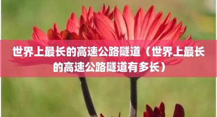 世界上最长的高速公路隧道（世界上最长的高速公路隧道有多长）