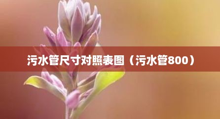 污水管尺寸对照表图（污水管800）