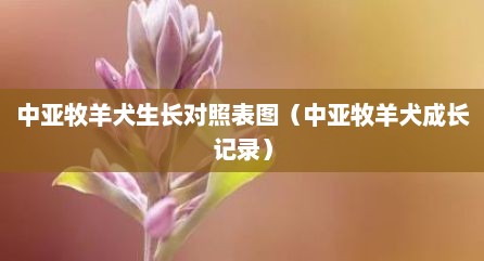 中亚牧羊犬生长对照表图（中亚牧羊犬成长记录）