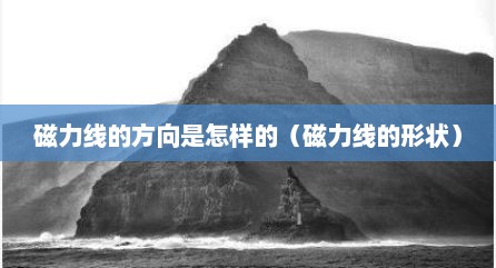 磁力线的方向是怎样的（磁力线的形状）