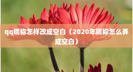 qq昵称怎样改成空白（2020年昵称怎么弄成空白）
