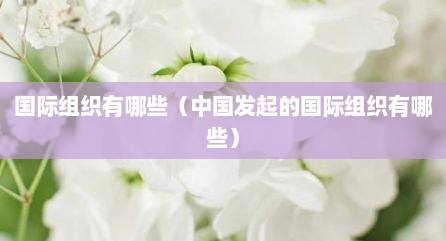 国际组织有哪些（中国发起的国际组织有哪些）