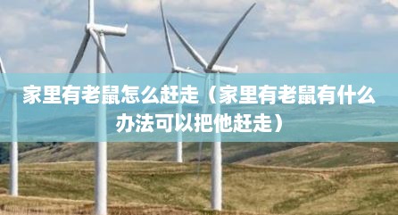 家里有老鼠怎么赶走（家里有老鼠有什么办法可以把他赶走）