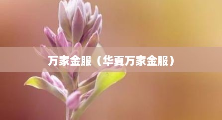万家金服（华夏万家金服）
