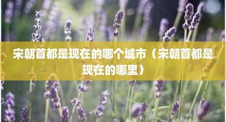 宋朝首都是现在的哪个城市（宋朝首都是现在的哪里）
