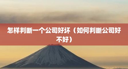 怎样判断一个公司好坏（如何判断公司好不好）