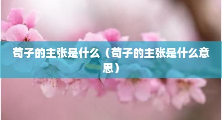 荀子的主张是什么（荀子的主张是什么意思）