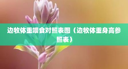 边牧体重喂食对照表图（边牧体重身高参照表）