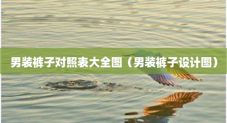 男装裤子对照表大全图（男装裤子设计图）