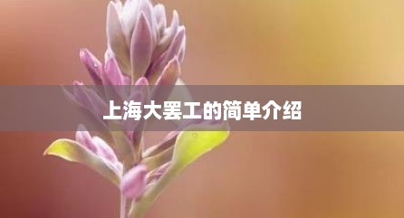 上海大罢工的简单介绍