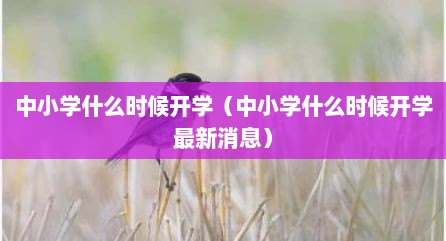 中小学什么时候开学（中小学什么时候开学最新消息）