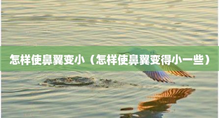 怎样使鼻翼变小（怎样使鼻翼变得小一些）