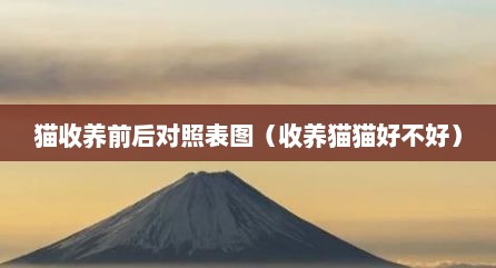 猫收养前后对照表图（收养猫猫好不好）