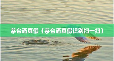茅台酒真假（茅台酒真假识别扫一扫）