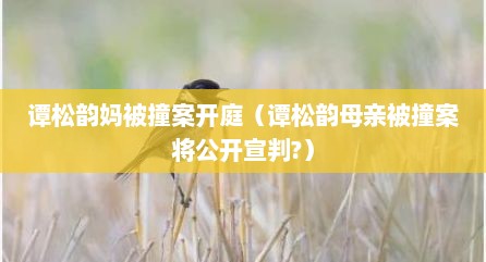 谭松韵妈被撞案开庭（谭松韵母亲被撞案将公开宣判?）