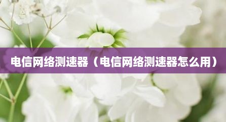 电信网络测速器（电信网络测速器怎么用）