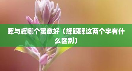 晖与辉哪个寓意好（辉跟晖这两个字有什么区别）