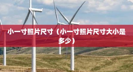 小一寸照片尺寸（小一寸照片尺寸大小是多少）