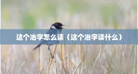 这个冶字怎么读（这个冶字读什么）