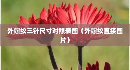 外螺纹三针尺寸对照表图（外螺纹直接图片）