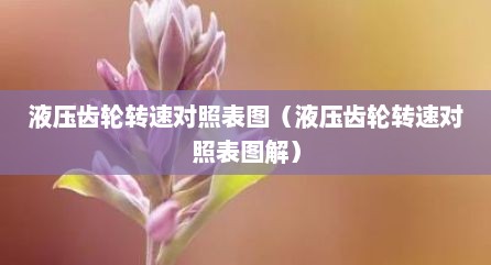 液压齿轮转速对照表图（液压齿轮转速对照表图解）